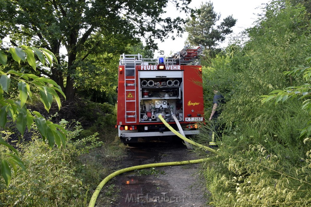 Waldbrand Koeln Hoehenhaus Hoehenfelder Mauspfad P158.JPG - Miklos Laubert